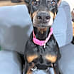 Thumbnail photo of Debbie #1