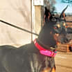 Thumbnail photo of Debbie #3