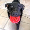 Thumbnail photo of Martha #3
