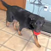 Thumbnail photo of Martha #4