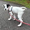 Thumbnail photo of Naomi #4
