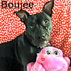 Thumbnail photo of Boujee #4