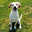 Thumbnail photo of Lucy #3
