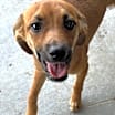 Thumbnail photo of Frannie #1