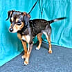 Thumbnail photo of Sophie #2