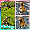Thumbnail photo of Katrina #1