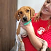 Thumbnail photo of Asher #3