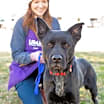 Thumbnail photo of Reuben #3