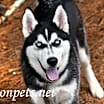 Thumbnail photo of Damon #18882 #4