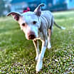 Thumbnail photo of Doris aka Dora #4