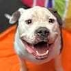 Thumbnail photo of Bama #2