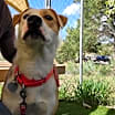 Thumbnail photo of Luna #1