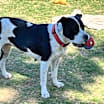 Thumbnail photo of Sarai #1
