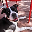 Thumbnail photo of Sarai #3