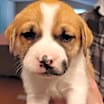 Thumbnail photo of Pepper #3
