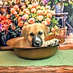 Thumbnail photo of Tot #4
