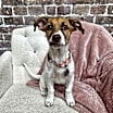 Thumbnail photo of Sienna #4