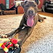 Thumbnail photo of Sterling #4