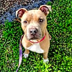 Thumbnail photo of Gunther #3