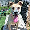 Thumbnail photo of Buckley #2