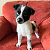 Thumbnail photo of Bessie  #2
