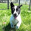 Thumbnail photo of Bessie  #3