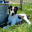 Thumbnail photo of Bessie  #4