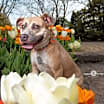 Thumbnail photo of Murphey #2