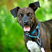 Thumbnail photo of Frannie #2