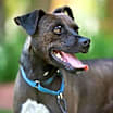 Thumbnail photo of Frannie #3
