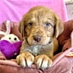 Thumbnail photo of Castiel #3