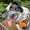 Thumbnail photo of ROCKY #2