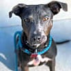 Thumbnail photo of Oliver #1