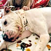 Thumbnail photo of Holly #1