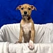 Thumbnail photo of Aria #2