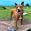 Thumbnail photo of Grace #1