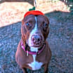 Thumbnail photo of Grace #3
