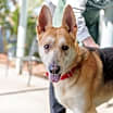 Thumbnail photo of Bootsy #4