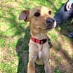 Thumbnail photo of Luis #3