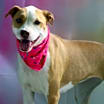 Thumbnail photo of Molly JuM #3