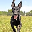 Thumbnail photo of Tuko #3