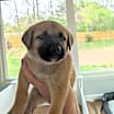 Thumbnail photo of Brandy #2