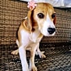Thumbnail photo of AYLA #1