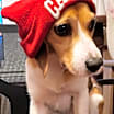 Thumbnail photo of AYLA #2