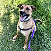 Thumbnail photo of Carter #1