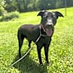 Thumbnail photo of Birdie #1