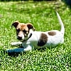 Thumbnail photo of Sienna #3