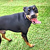 Thumbnail photo of Zeus VM #1