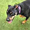 Thumbnail photo of Zeus VM #3