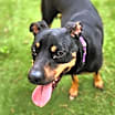Thumbnail photo of Zeus VM #4
